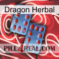 Dragon Herbal 05